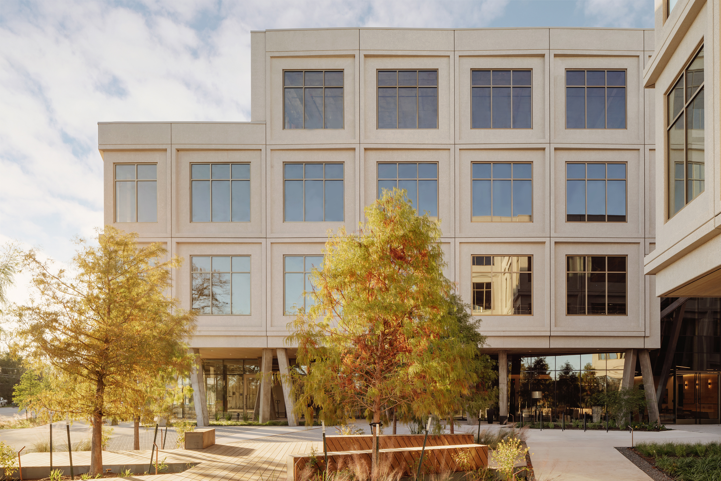 Completed courtyard elevation framed by young trees and low planting