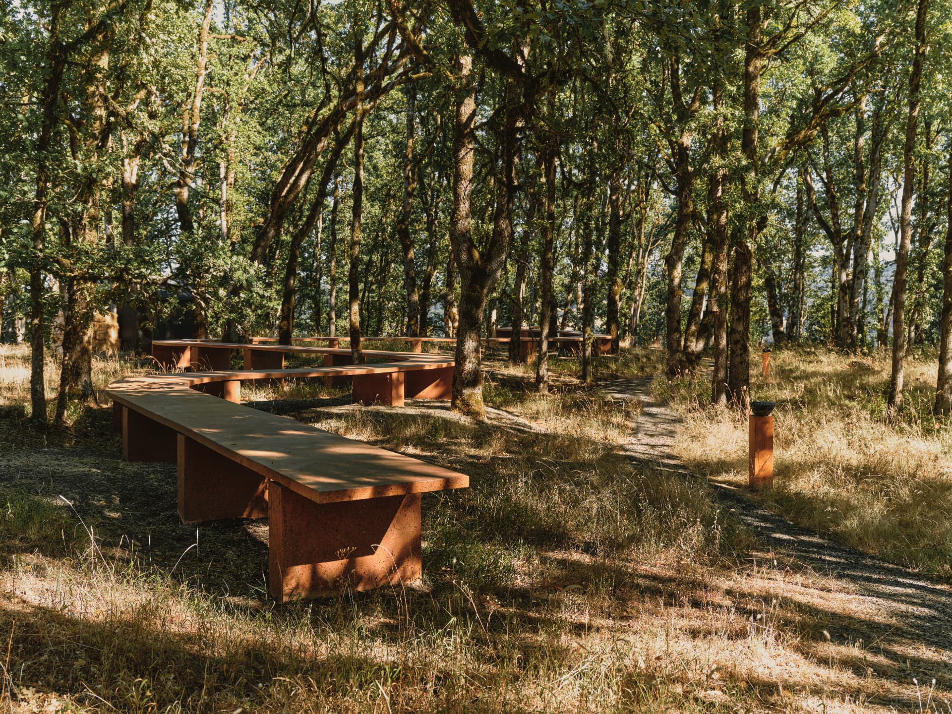 The empty table folding back on itself among the oaks in late light