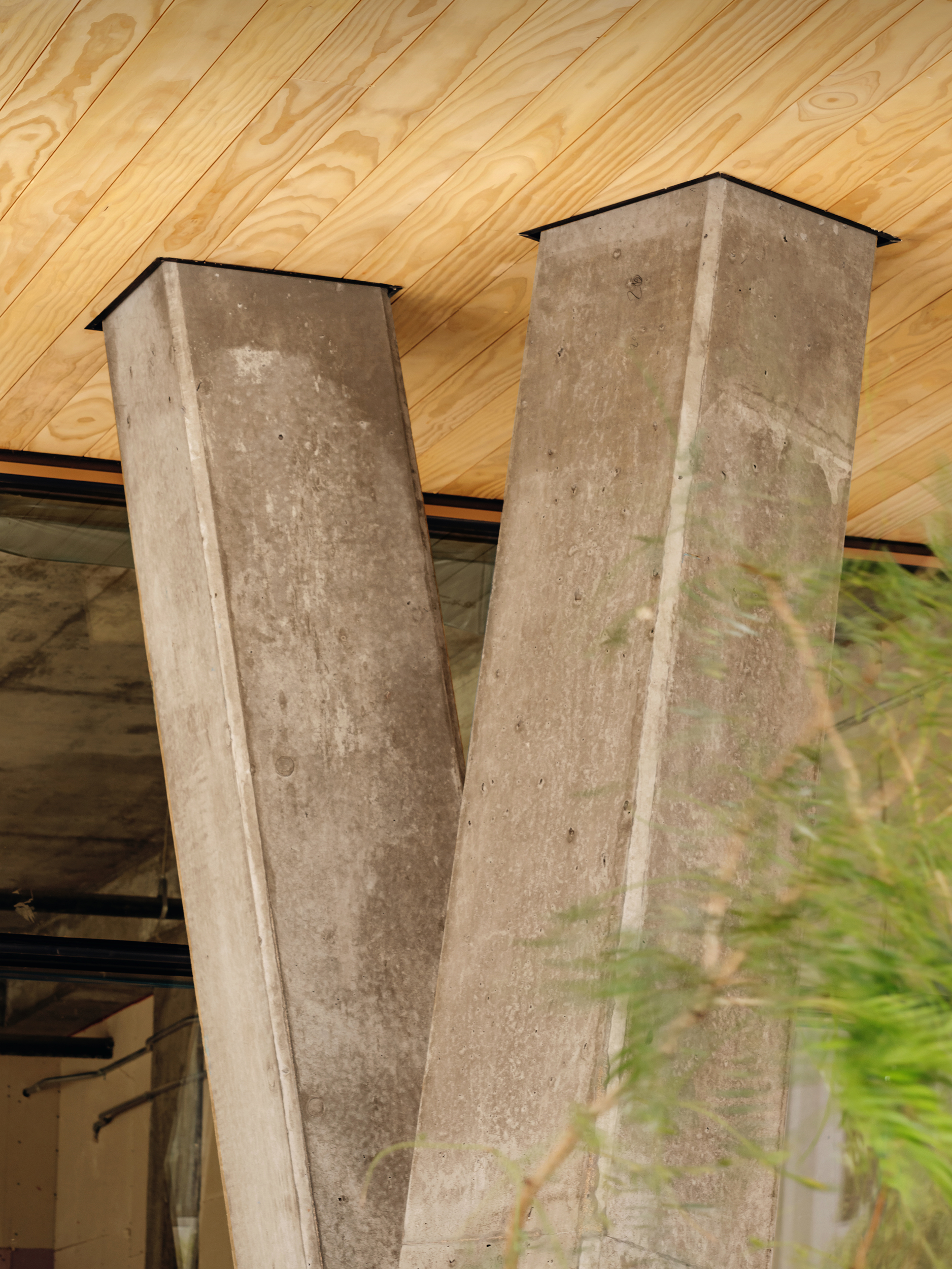 Close vertical view of a faceted concrete column meeting the timber soffit