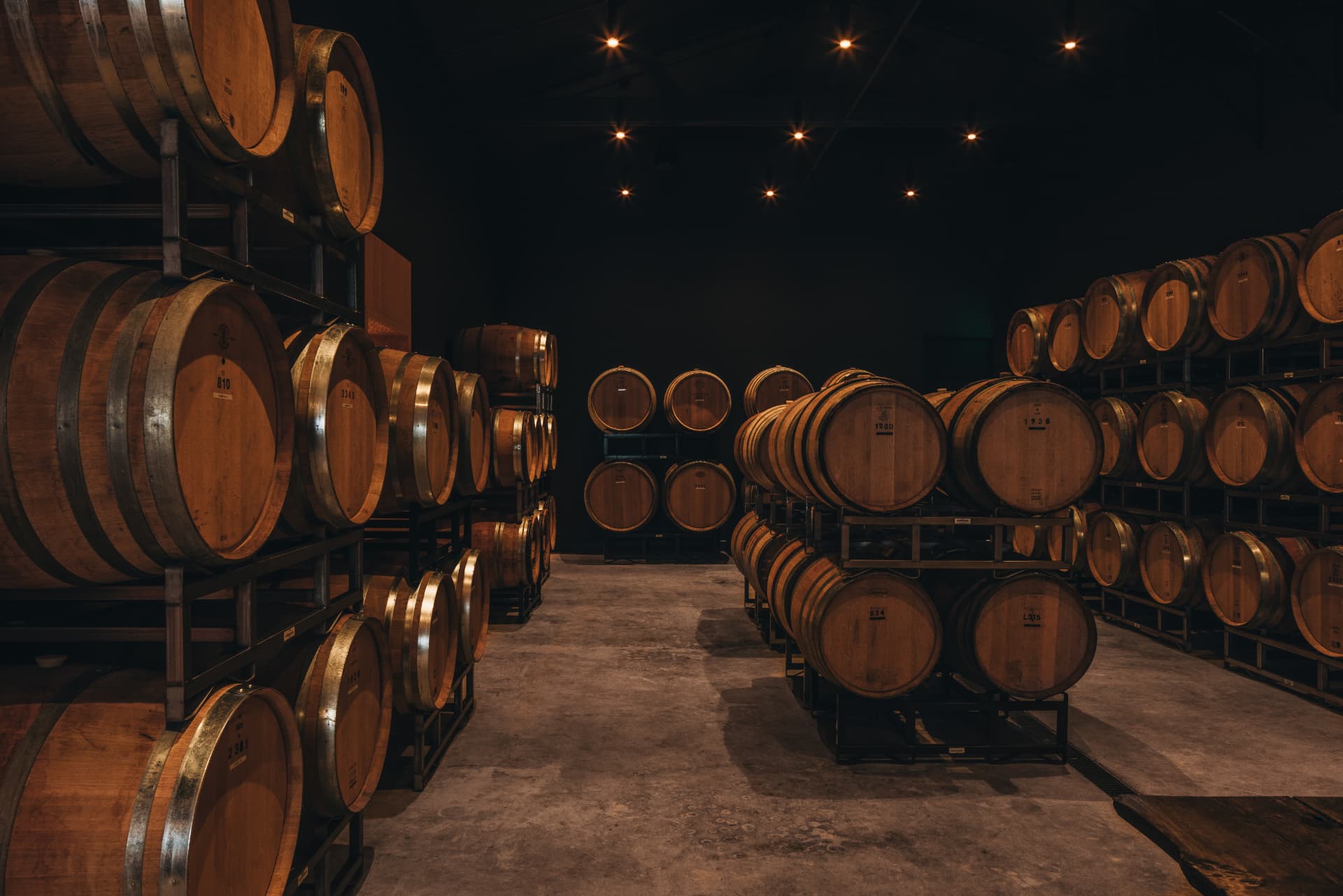 Rows of oak barrels under pin lights in the cellar