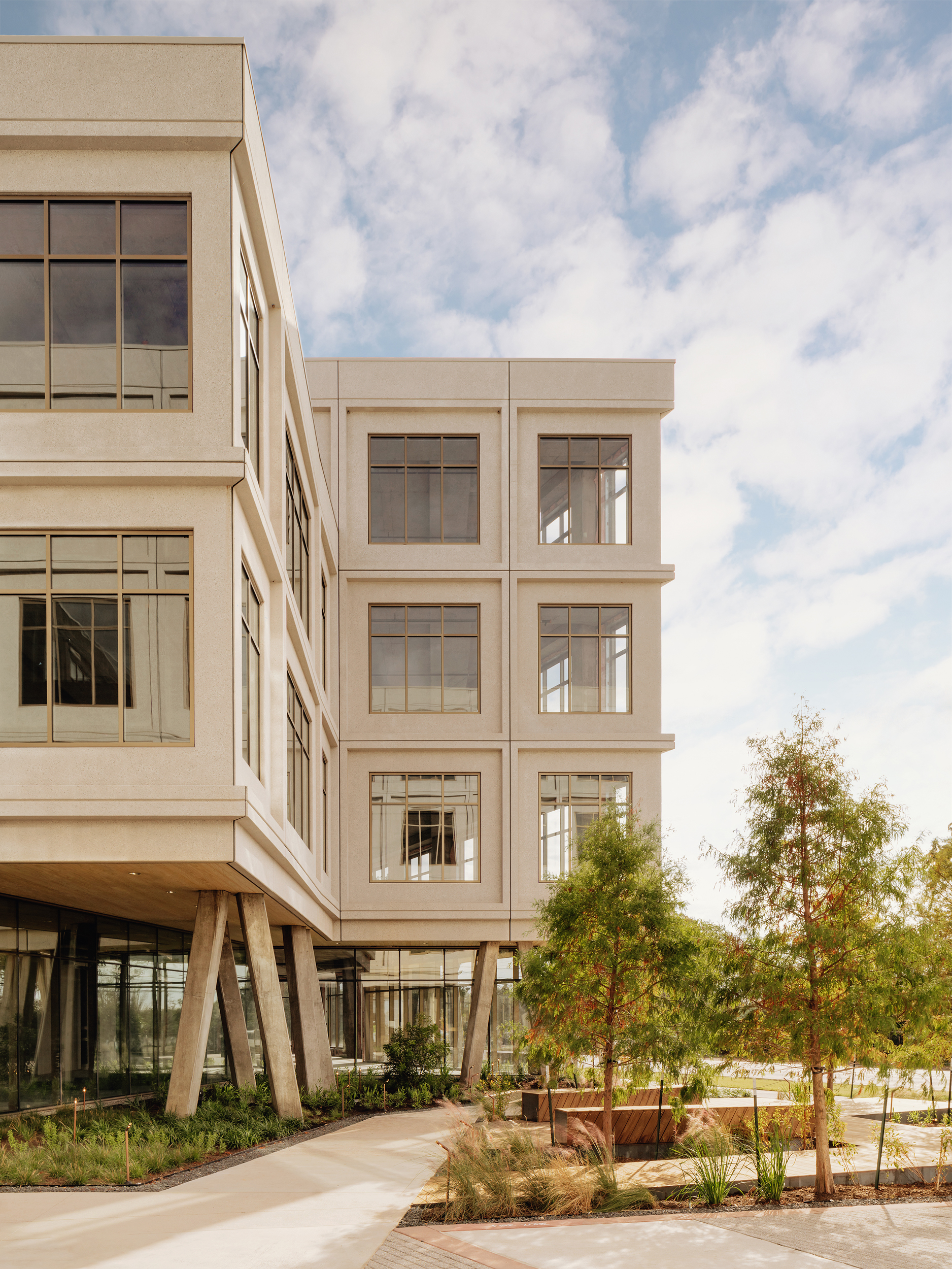 Vertical study of the pale framed facade above a planted street edge