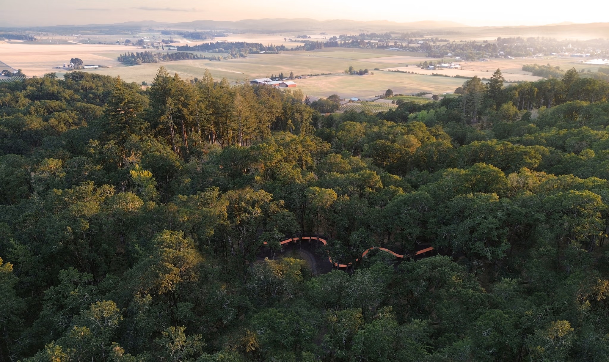 Aerial view of the oak grove and tasting table overlooking the Dundee Hills landscape