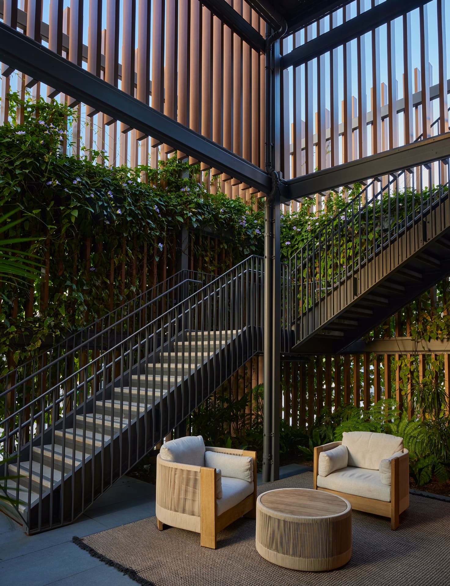 Planted courtyard with a steel stair, climbing vines and lounge seating