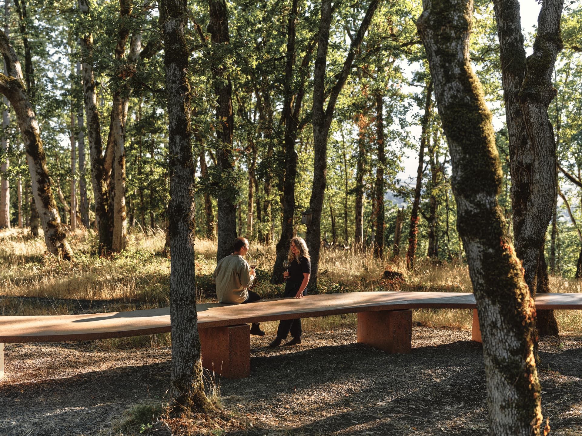 Two people with wine glasses at the long table between oak trunks